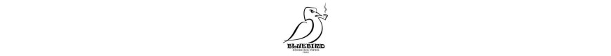 Pipe BlueBird di Piero Vitale in Collaborazione con Molina | Bollitopipe.com